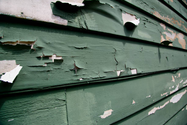 Best Storm Damage Siding Repair  in Neshanic Station, NJ