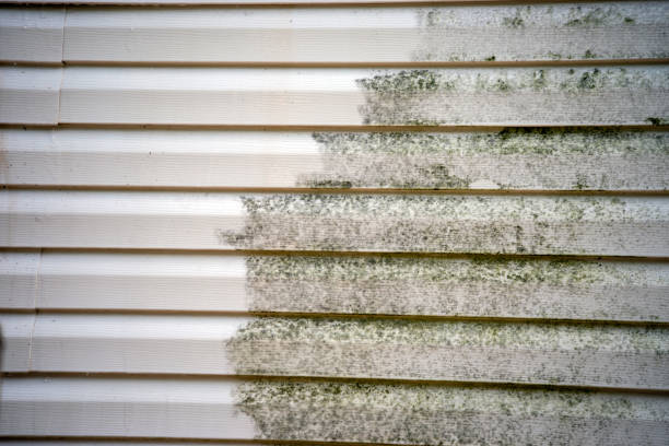 Best Stone Veneer Siding  in Neshanic Station, NJ